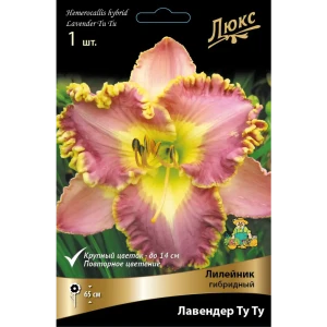 Лилейник гибридный Лавендер Ту Ту, 88659235 STLM-2168074