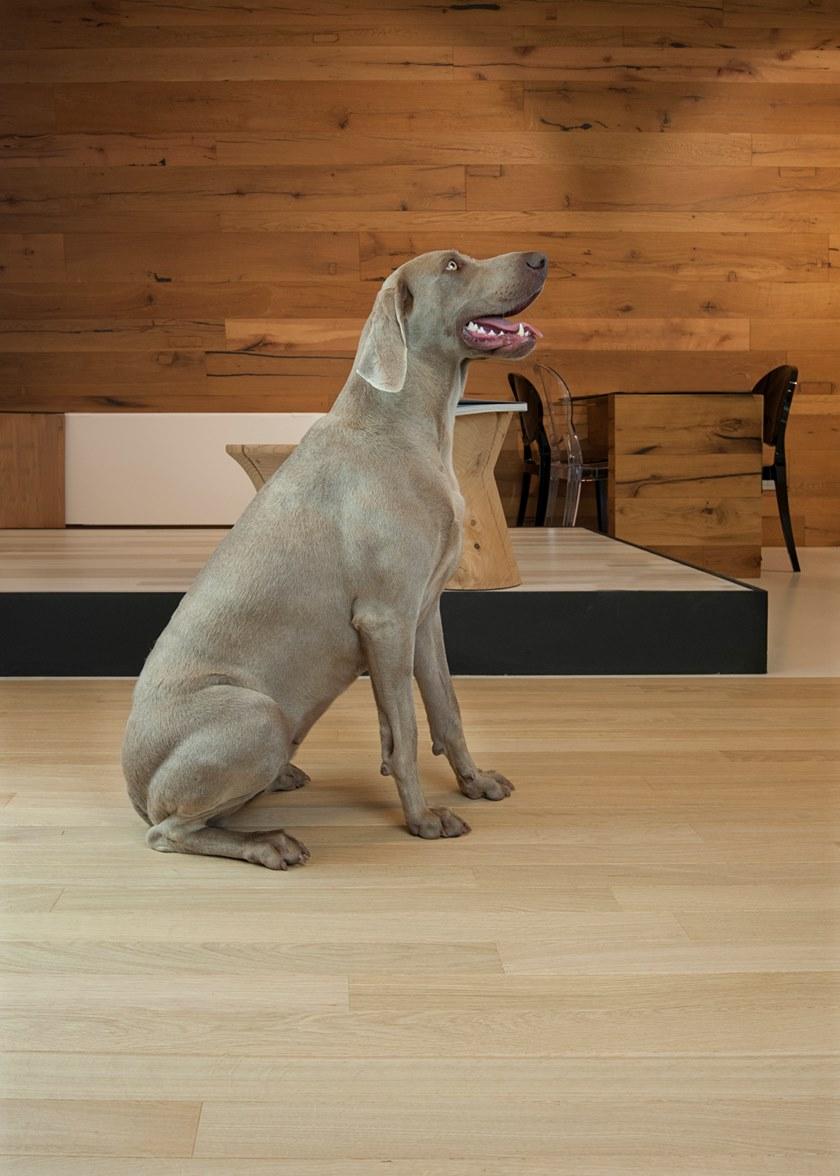 Garbelotto Готовый паркет I gessi® sun-id-1474460 - Вид №7