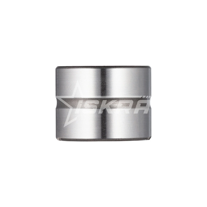 IS1640 Подшипник NA6904 ISKRA  - Вид №7