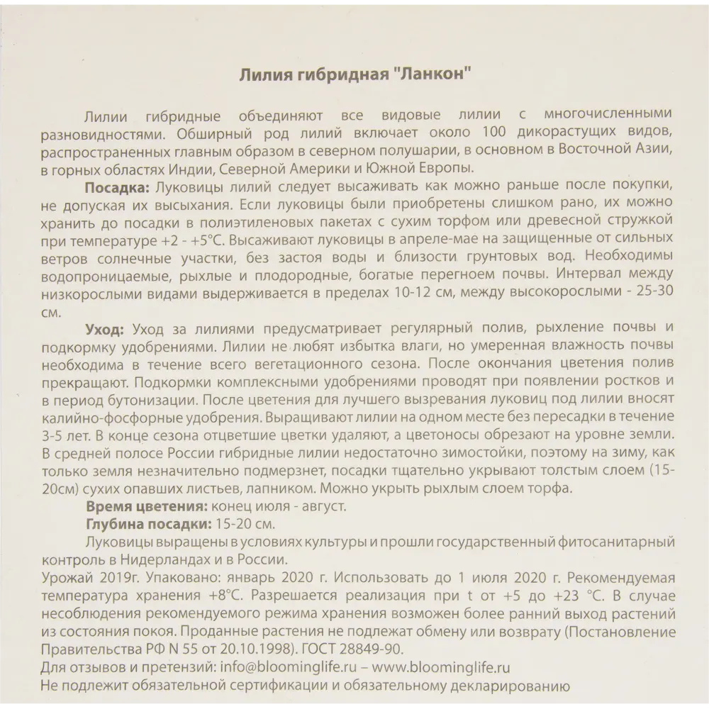 Лилия гибридная «Ланкон» 82539380 STLM-2080651 BLOOMING LIFE  - Вид №2