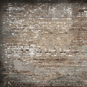 WP08073A Обои декоративные Adriani e Rossi