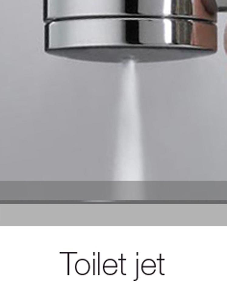 B00444 Душевая лейка PALOMA - WC BOSSINI  - Вид №2