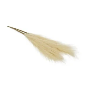 Декоративный сухоцвет 60 см бежевый