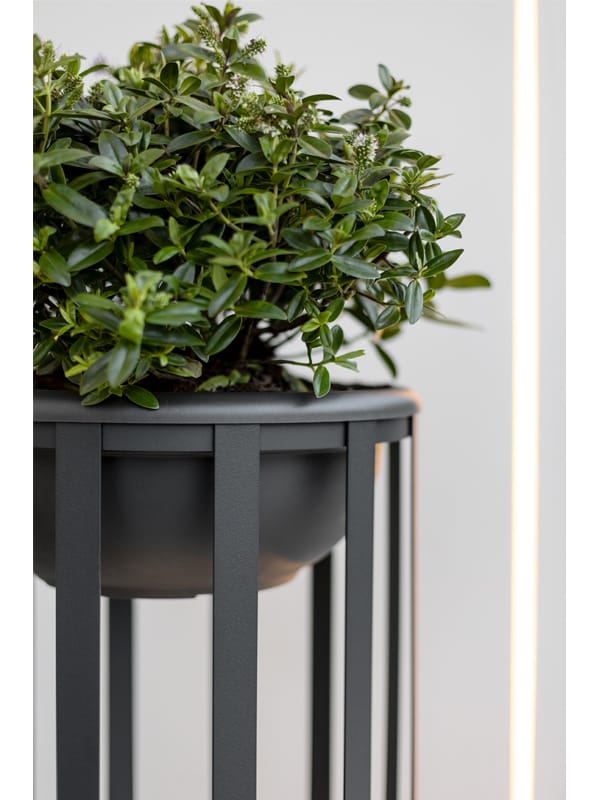 Поли открытый плантатор / торшер Estiluz Bols ARCH-00137330 - Вид №8