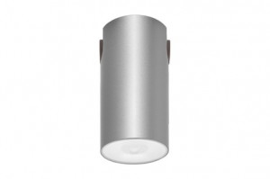 DST-93 Lens watertight ceiling-mounted Daisalux Светильники аварийные Серебристо-Серый