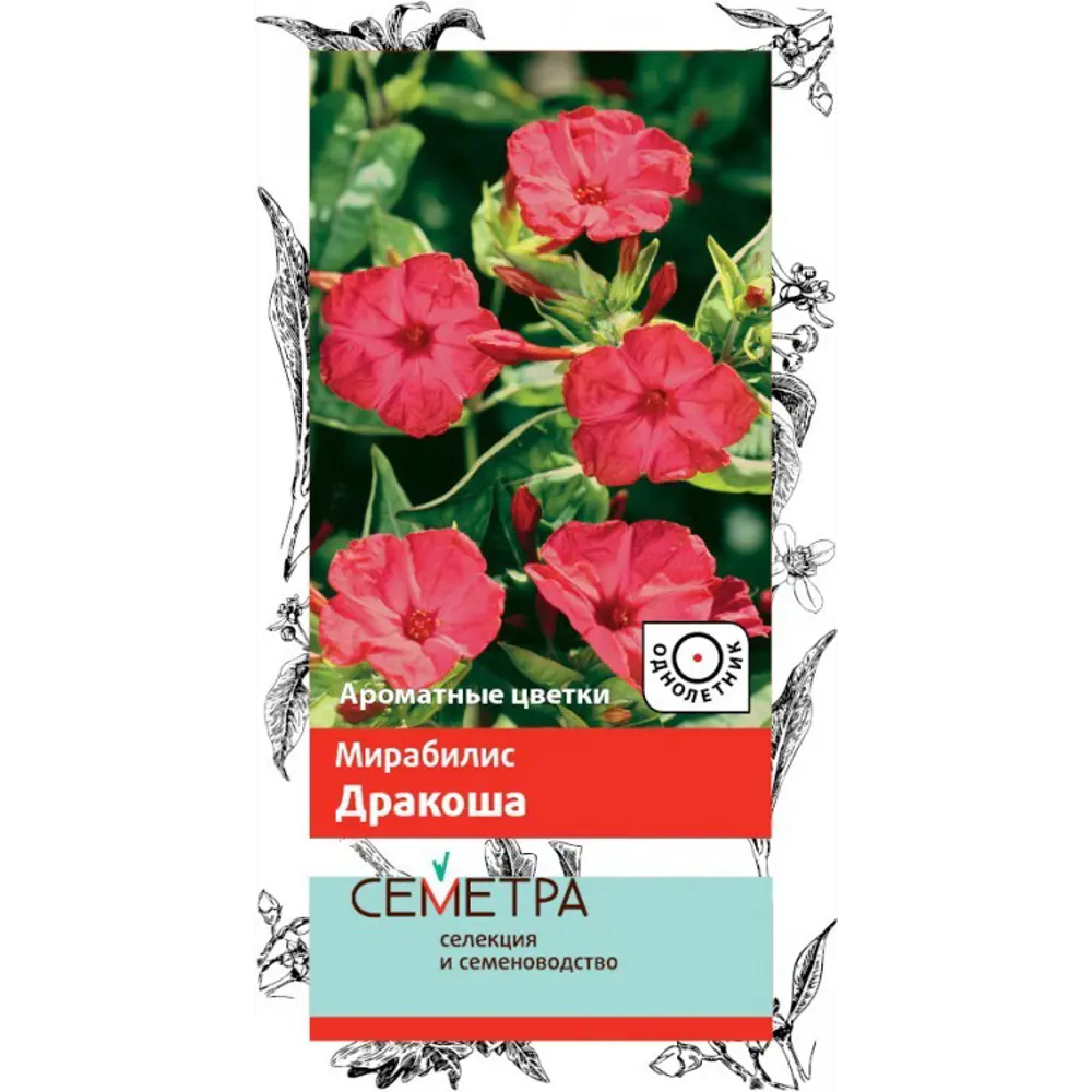 Семена Мирабилис «Дракоша» 83147203 STLM-2150468 ПОИСК 