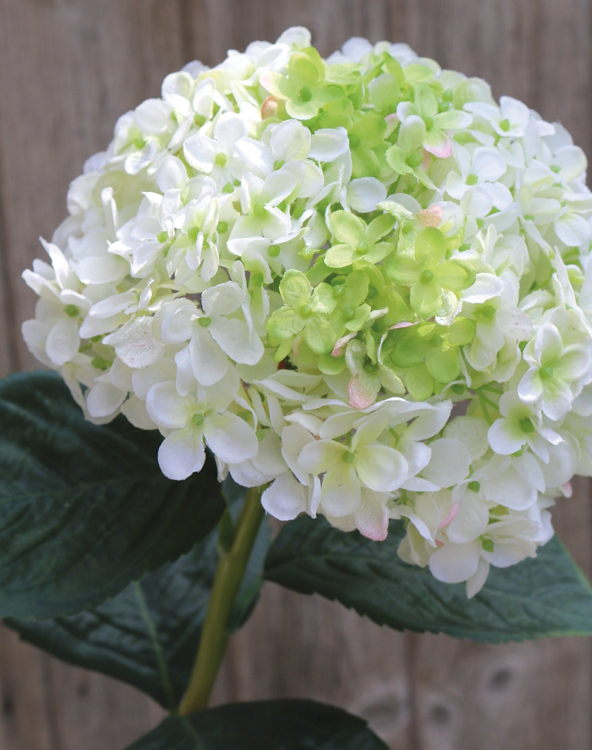 2271 708 a3 Гортензия искусственная, 60 см, бело-зеленая H-andreas  - Вид №4