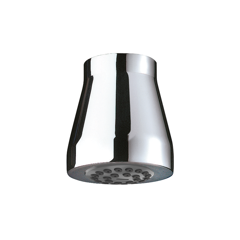 716000DP Душевая головка GYM DELABIE 