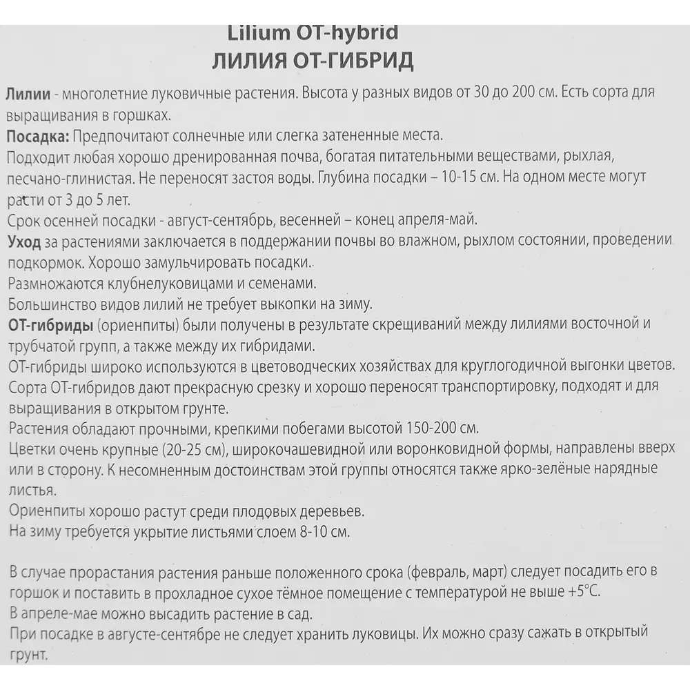 Лилия От-гибрид Хай Ти 85186037 STLM-2140667 ПОИСК  - Вид №2