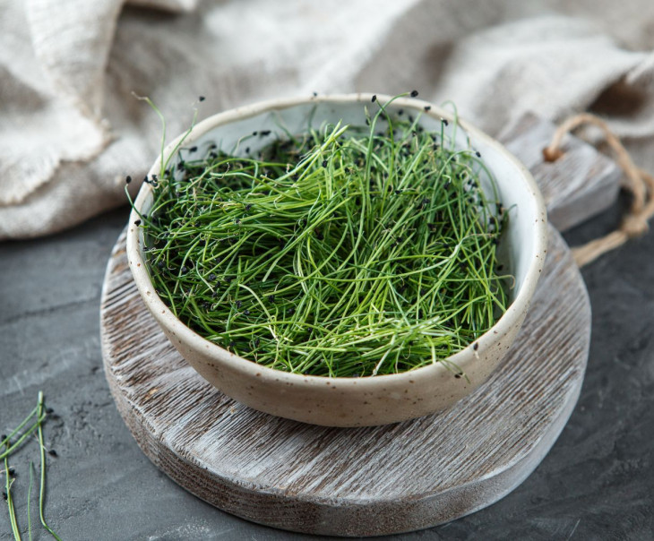 4758 Микрозелень лук "Порей" Вкусляндия  - Вид №1