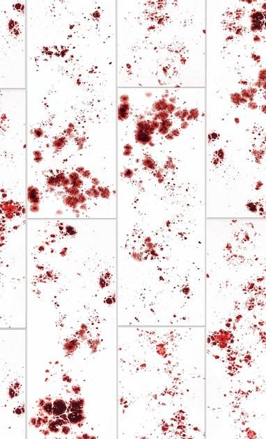 Danilo Ramazzotti Внутренняя облицовка майоликой Inchiostro simpatico Is8 - Вид №2