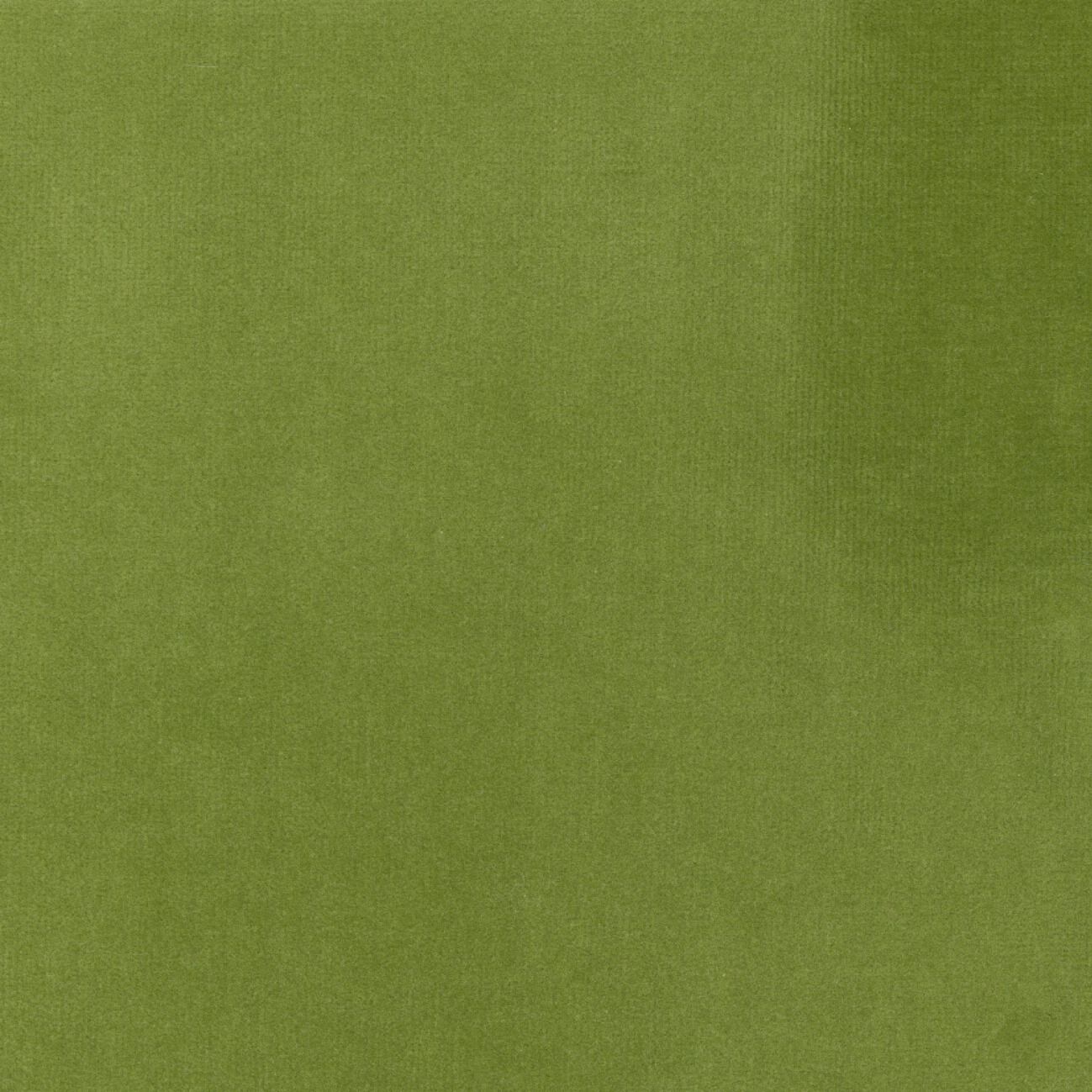 Бархатная однотонная ткань Élitis Palatine ARCH-00143253 - Вид №30