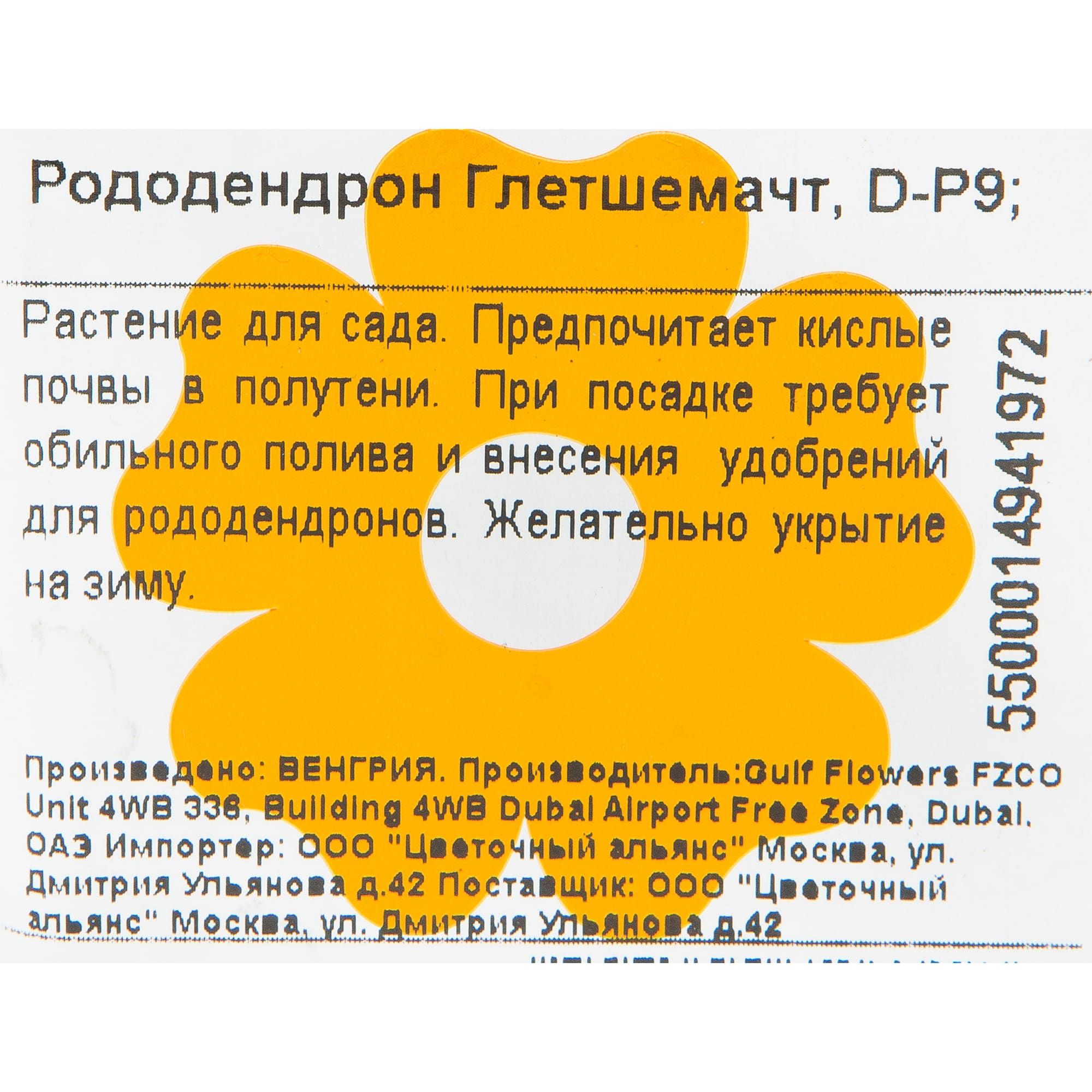 82601868 Рододендрон гибридный «Глетшемачт» 9x20 см Santreyd  - Вид №1
