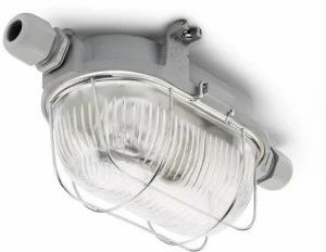 THPG Уличный потолочный светильник  100503