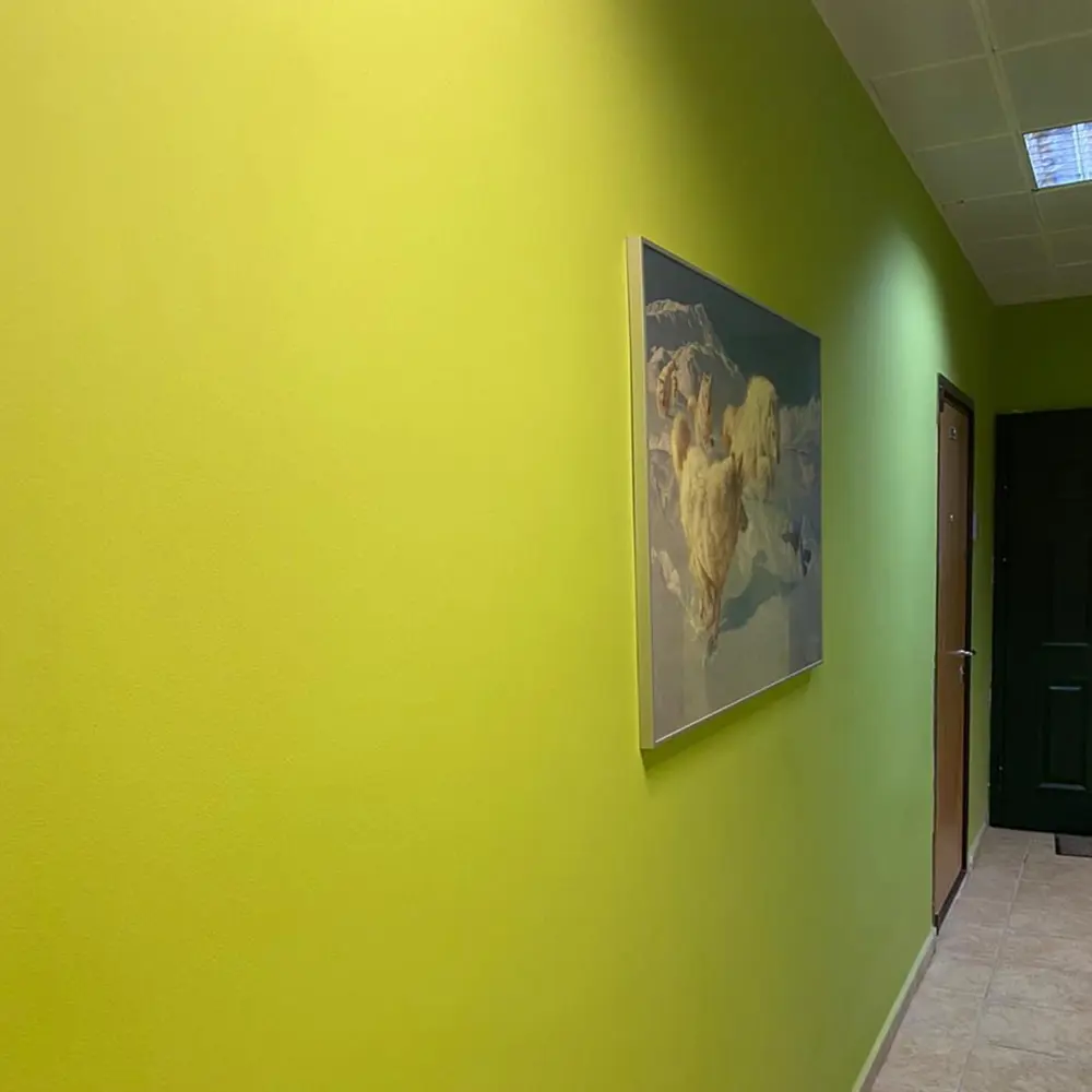 OLIMP Матовая моющаяся краска для стен и потолков с онлайн-колеровкой 86765078 STLM-0853080 - Вид №2