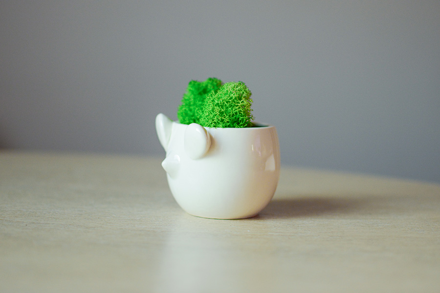 MIN-1-04 Набор для выращивания eco мини-кашпо «мышка» Экочеловеки  - Вид №1