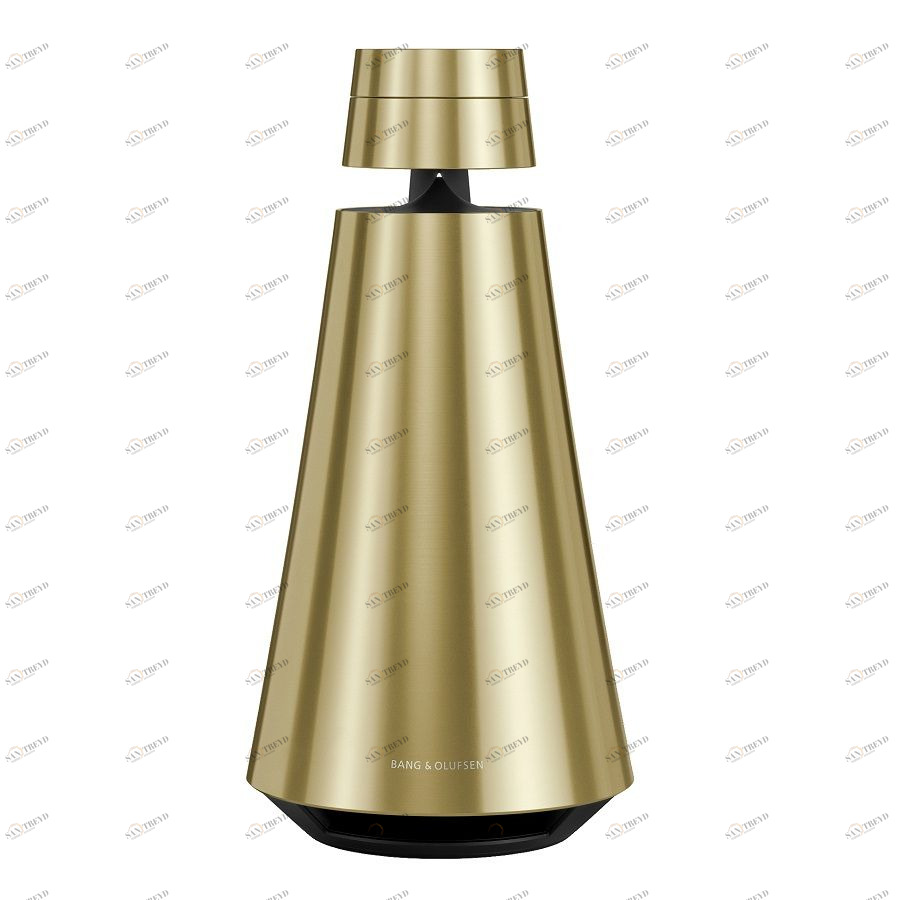 Система акустическая BeoSound 1, золотая Bang & Olufsen 1665565