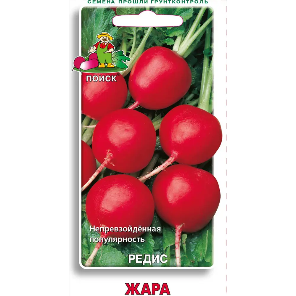 Редис Жара от ПОИСК - ранний сорт с хрустящей мякотью 83227437 STLM-0039574