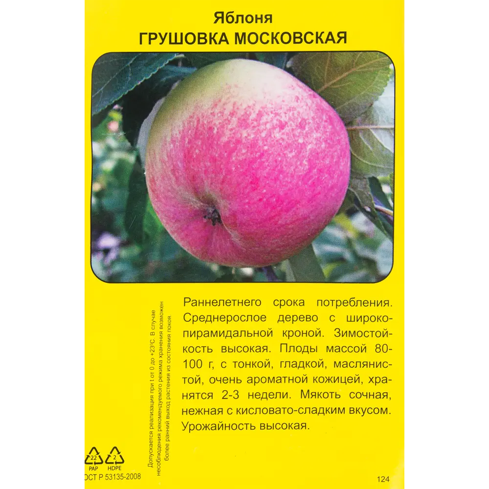 Яблоня Грушовка московская h90 см 83791272 STLM-2085350 Santreyd  - Вид №1