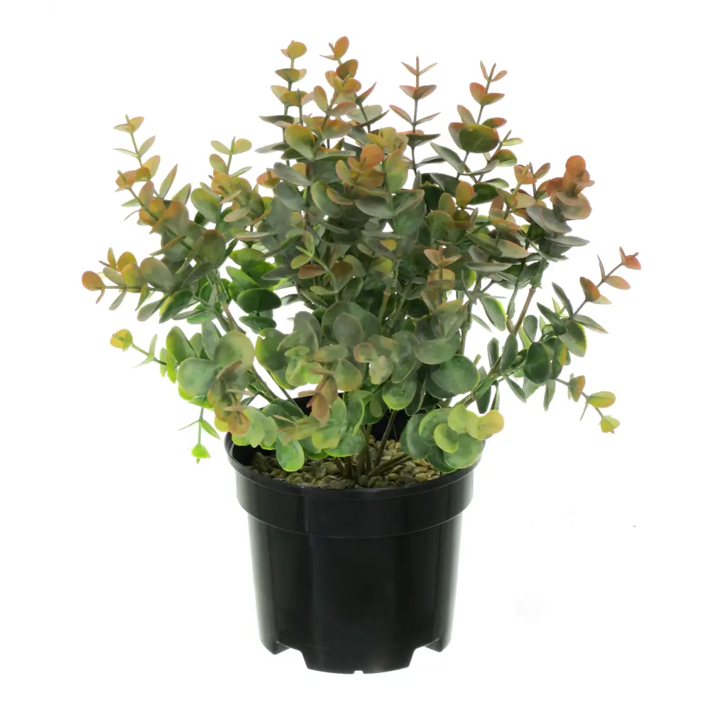 89356250 Искусственное растение в горшке эвкалипт h30 см цвет коричневый STLM-0961796 Santreyd  - Вид №2