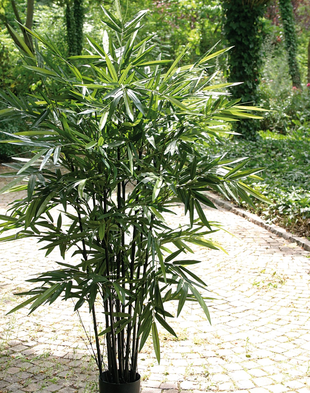5694 883 a3 Бамбук искусственный, в горшке, 210 см, зеленый H-andreas  - Вид №10