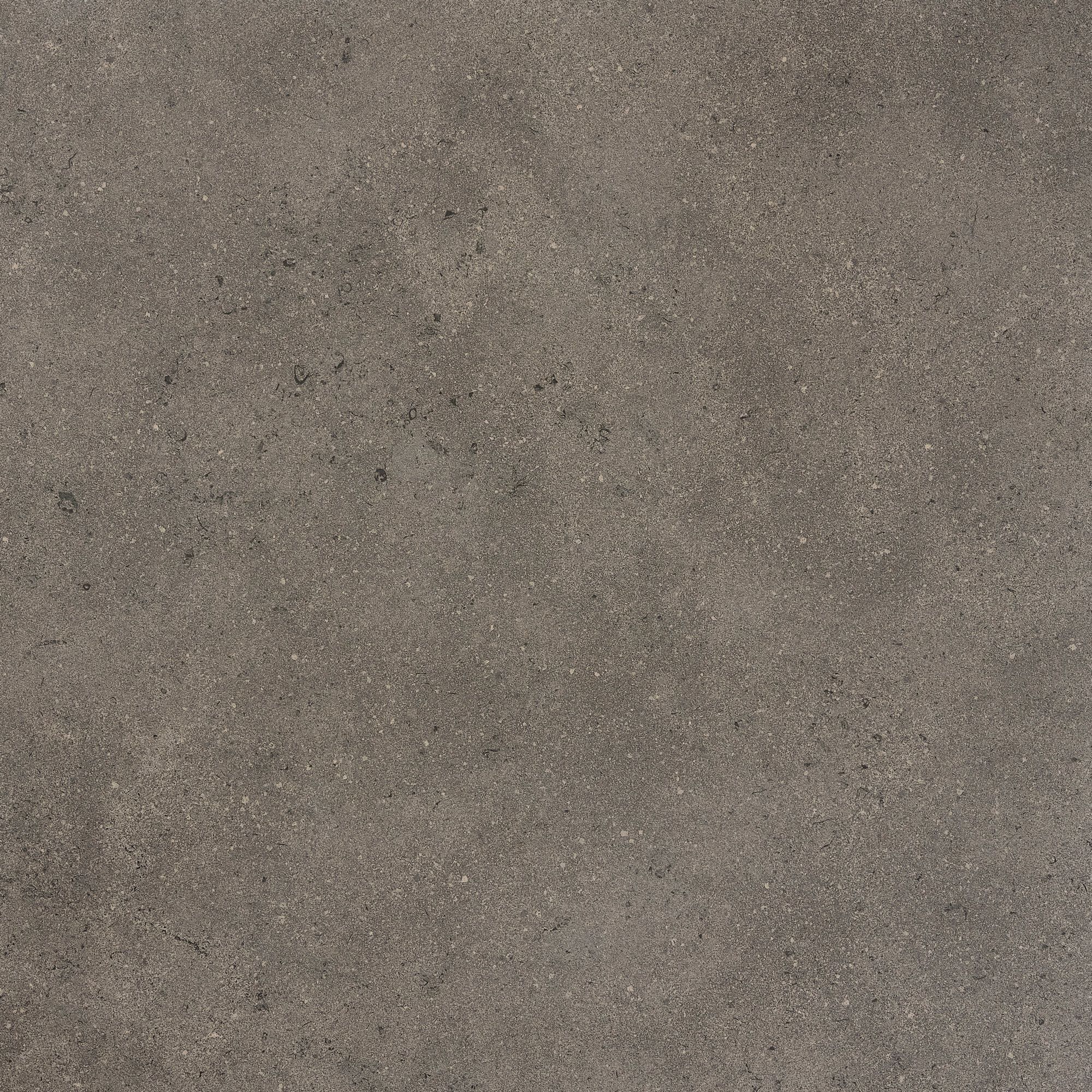 Керамогранит / напольное покрытие ARIOSTEA ELEMENTAE FULL BODY ARCH-00033684 - Вид №10