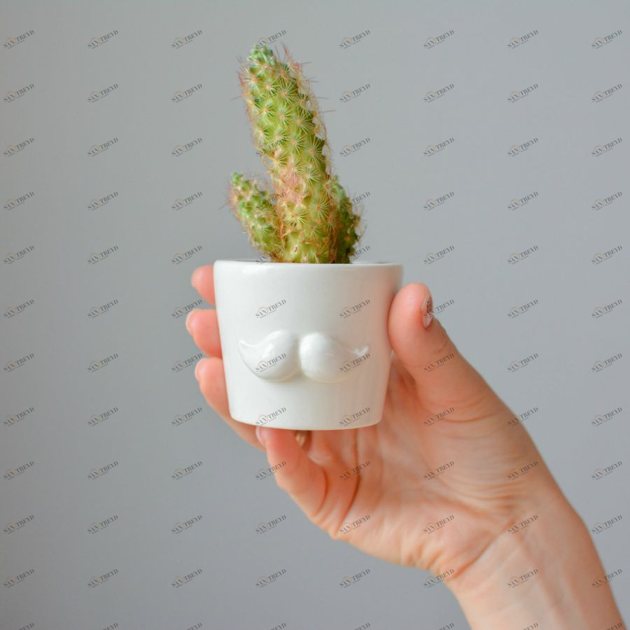 Набор для выращивания Eco мини-кашпо «Усы» ЭКОЧЕЛОВЕКИ MIN102