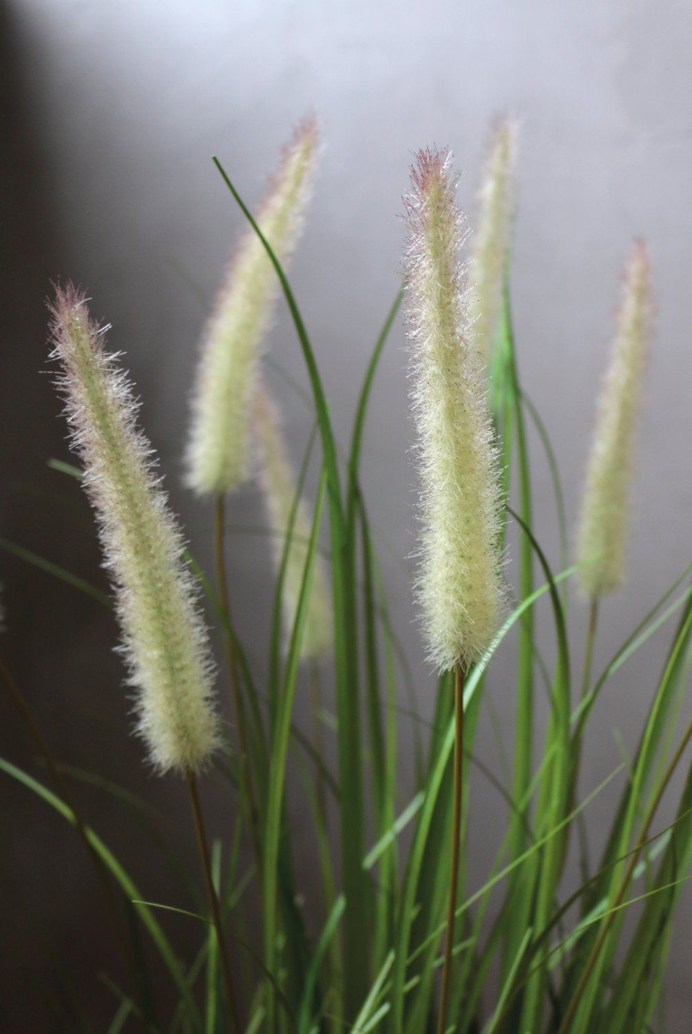 4870 883 a3 Искусственный пучок травы 'Chinese fountain grass', в горшке, 76 см, зеленый H-andreas  - Вид №1