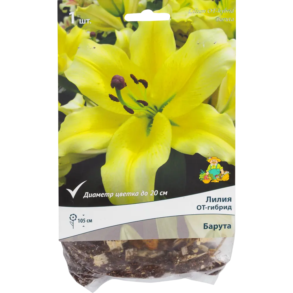 Лилия Барута Santreyd - луковица ОТ-гибрида с лимонно-желтыми цветами 82118707 STLM-0962812