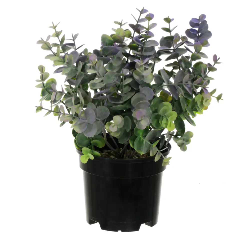 89356249 Искусственное растение в горшке эвкалипт h30 см цвет фиолетовый STLM-0962395 Santreyd  - Вид №1