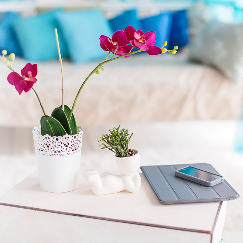 Набор для выращивания eco "Мечтатель" ЭКОЧЕЛОВЕКИ  254576 Белый  - Вид №1