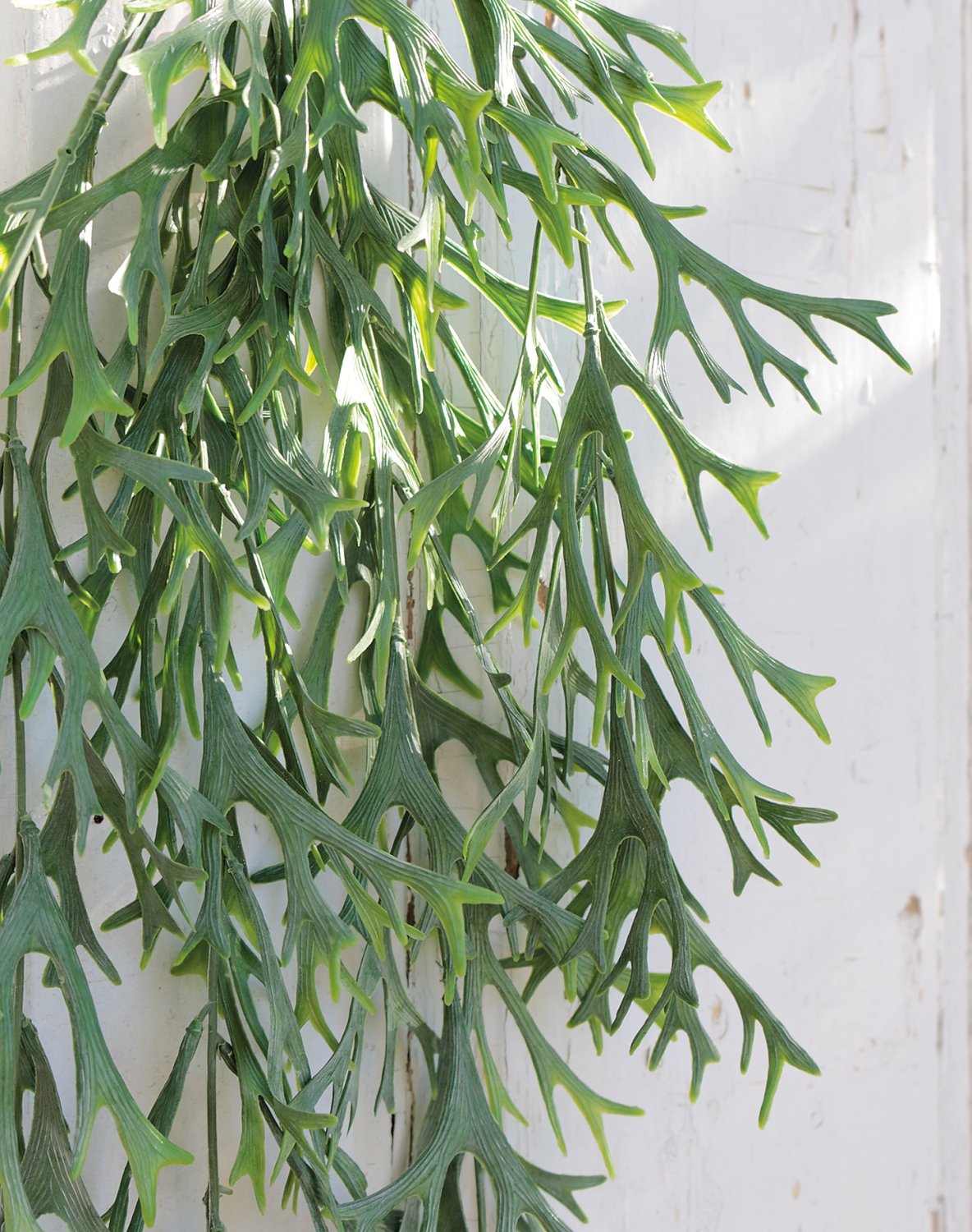 6128 809 a3 Вешалка для папоротника из искусственного рога, 74 см, зелено-серая H-andreas  - Вид №3