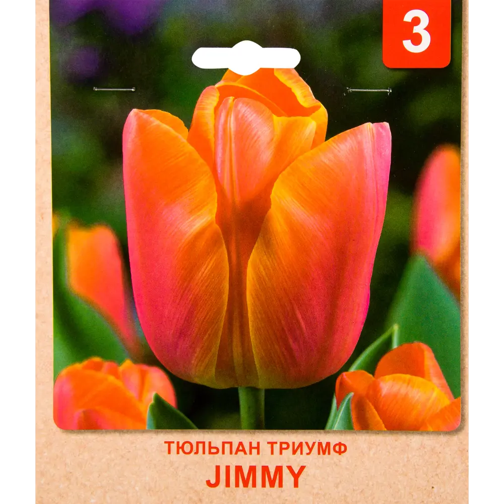 Тюльпан Триумф «Jimmy» размер луковицы 10/11, 3 шт. 82365373 STLM-2170614 Santreyd 