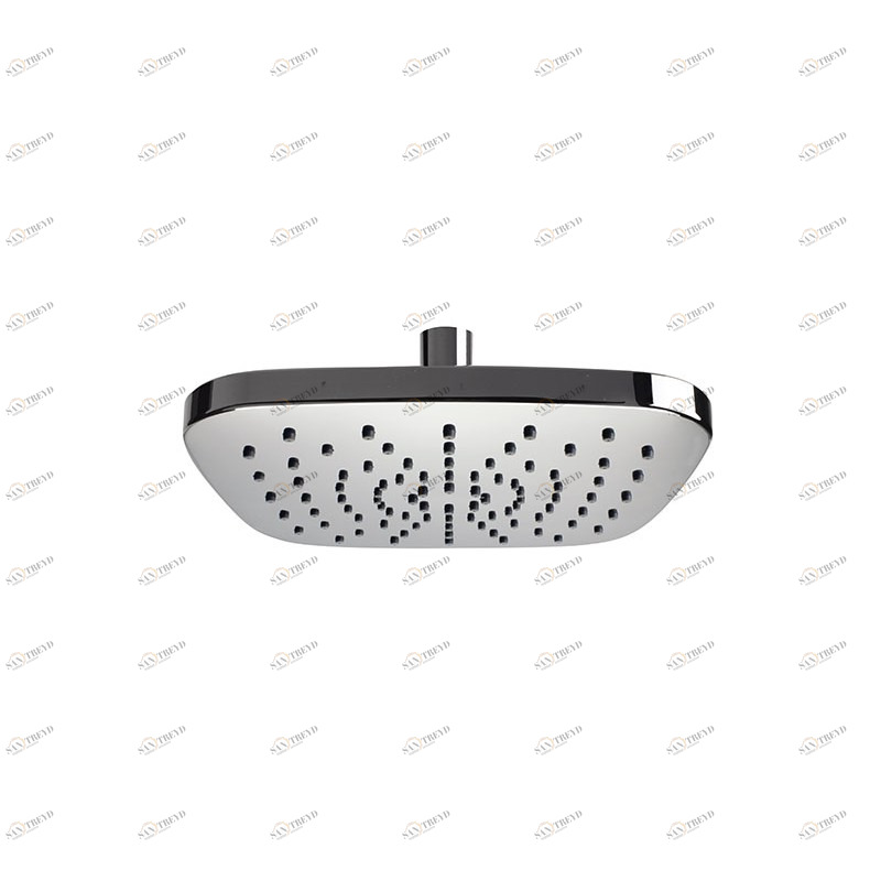 A584AD20 Душевая лейка  DANIEL RUBINETTERIE 