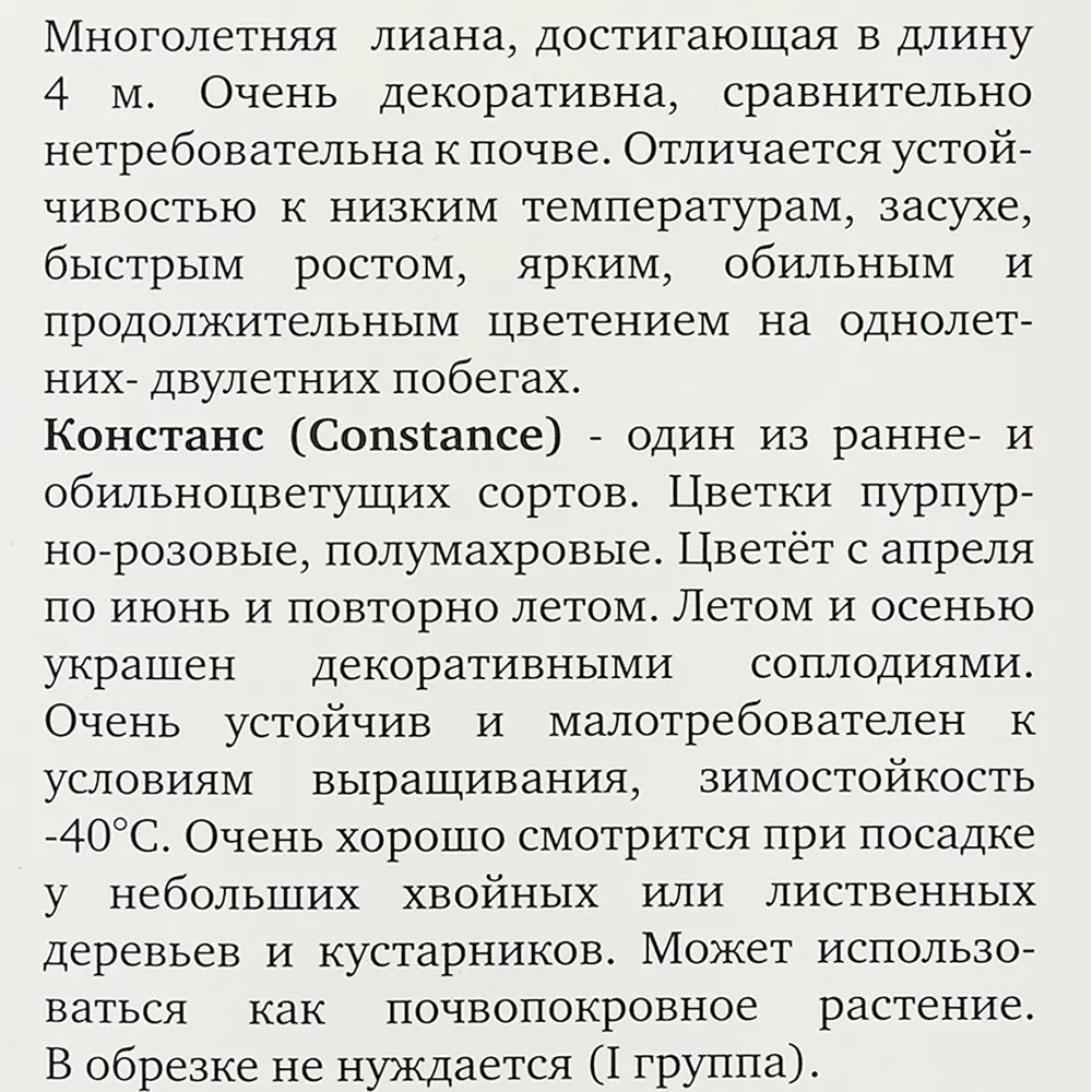 Клематис Констанс ø9 h39 см 83738686 STLM-2183428 Santreyd  - Вид №3