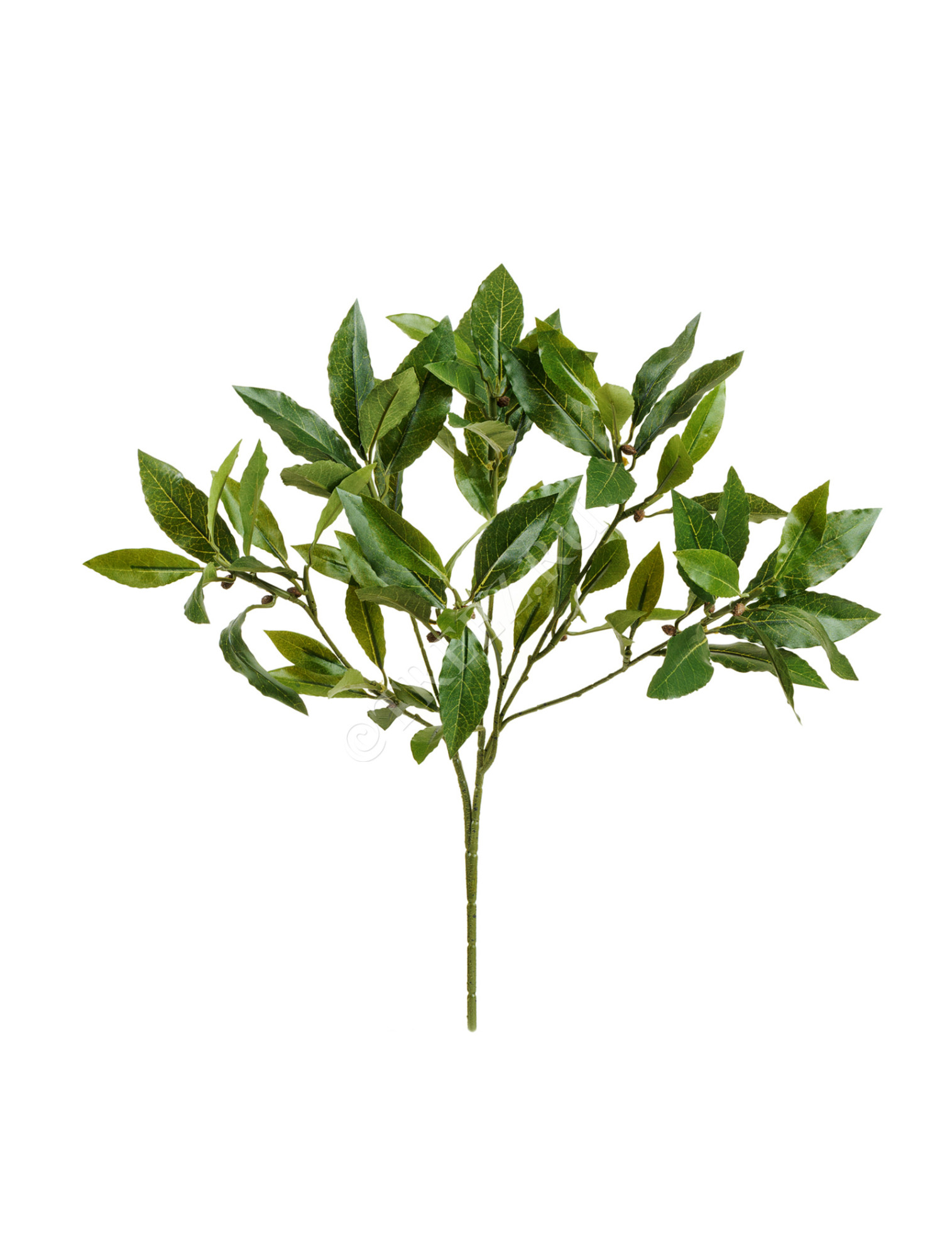 20.1610N Ветка лавра 45 см Цветочная коллекция 