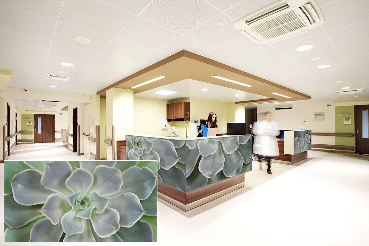 FSRT371 Зум-стекло Vivispectra с прослойкой из темного аметиста Forms-surfaces  - Вид №14