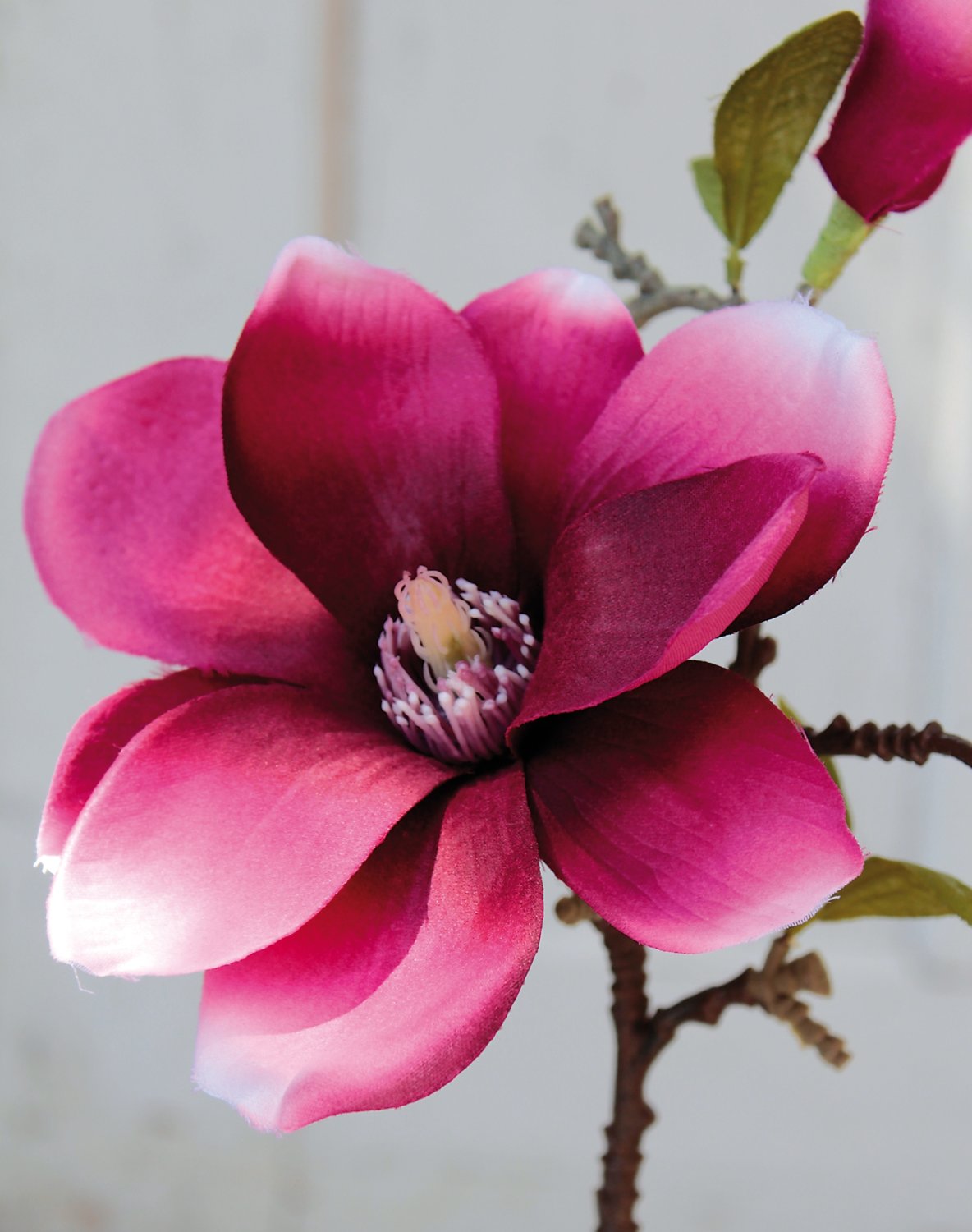 3008 490 a3 Шелковый спрей цветок магнолии, 36 см, красно-черный H-andreas 