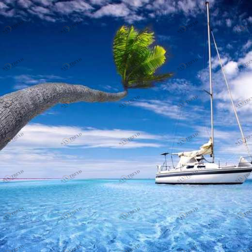 WP02116 Фотообои Verol Фотообои decoline 1х1 м