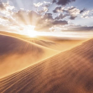 SH051-VD4-Gently-Touched Фотообои Komar Stefan Hefele 2.5х4 м