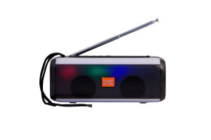 16950301 Колонка с Bluetooth 5.0 Magic Acoustic Vega, USB, FM-радио, чёрная SK1014BK Belsis