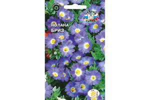 18408247 Семена Нолана Бриз 00000014559 СеДек