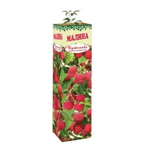 Малина Гусар в тубе 82559187 STLM-2196464
