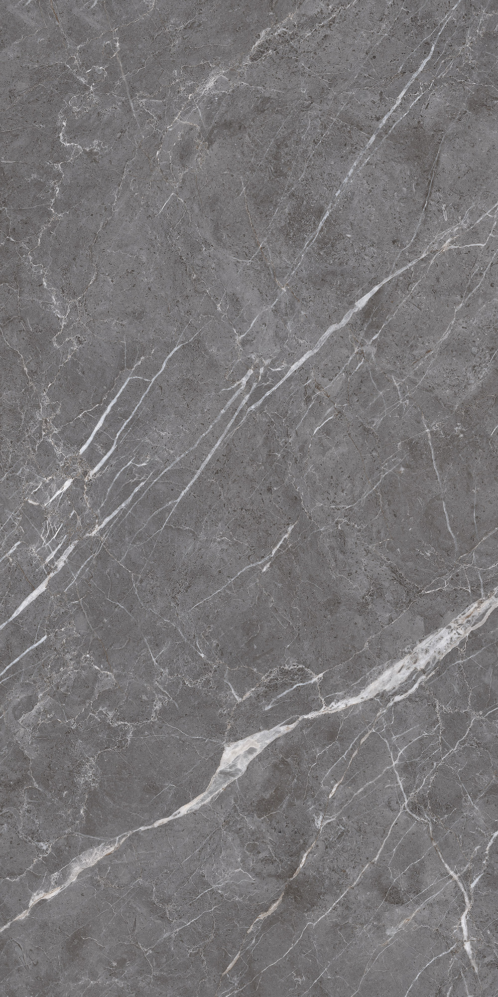 ESPERIA GRIGIO LAPPATO ARCADIA CERAMICA CL4003-A - Вид №7