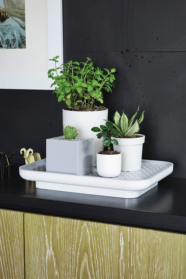 QL10309-WH-GY Лоток для полива растений oasis tray белый Qualy  - Вид №3