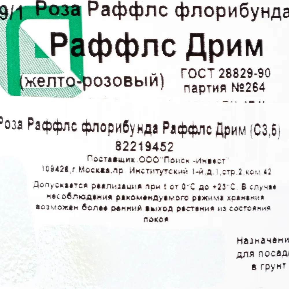 Роза флорибунда Раффлс «Дримс» 3.5 л h15 см 82219452 STLM-2098264 Santreyd  - Вид №1