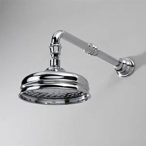 Душевая лейка AQ5120/SNCR Devon Devon SHOWER