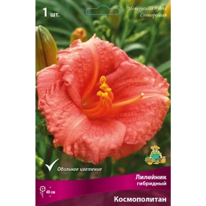 Лилейник гибридный Космополитан луковица I 88294951 STLM-2202013
