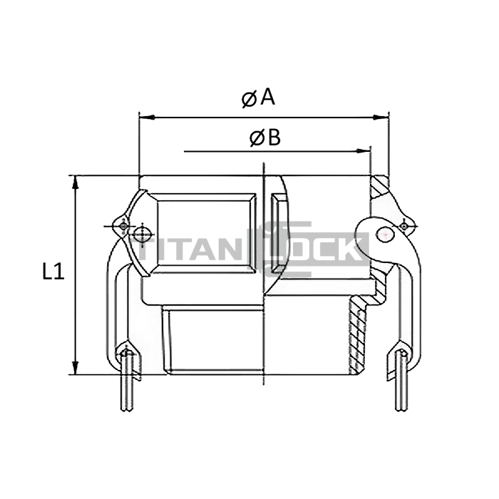 Камлок полипропиленовый тип B розетка, наруж. резьба BSP 2 1/2", TL250BPP TITAN LOCK  - Вид №1