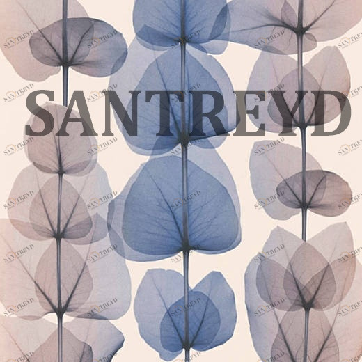 34245-5 Обои A.S. Creation X-Ray 342455